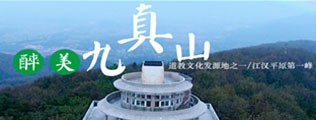 大鸡巴干逼区